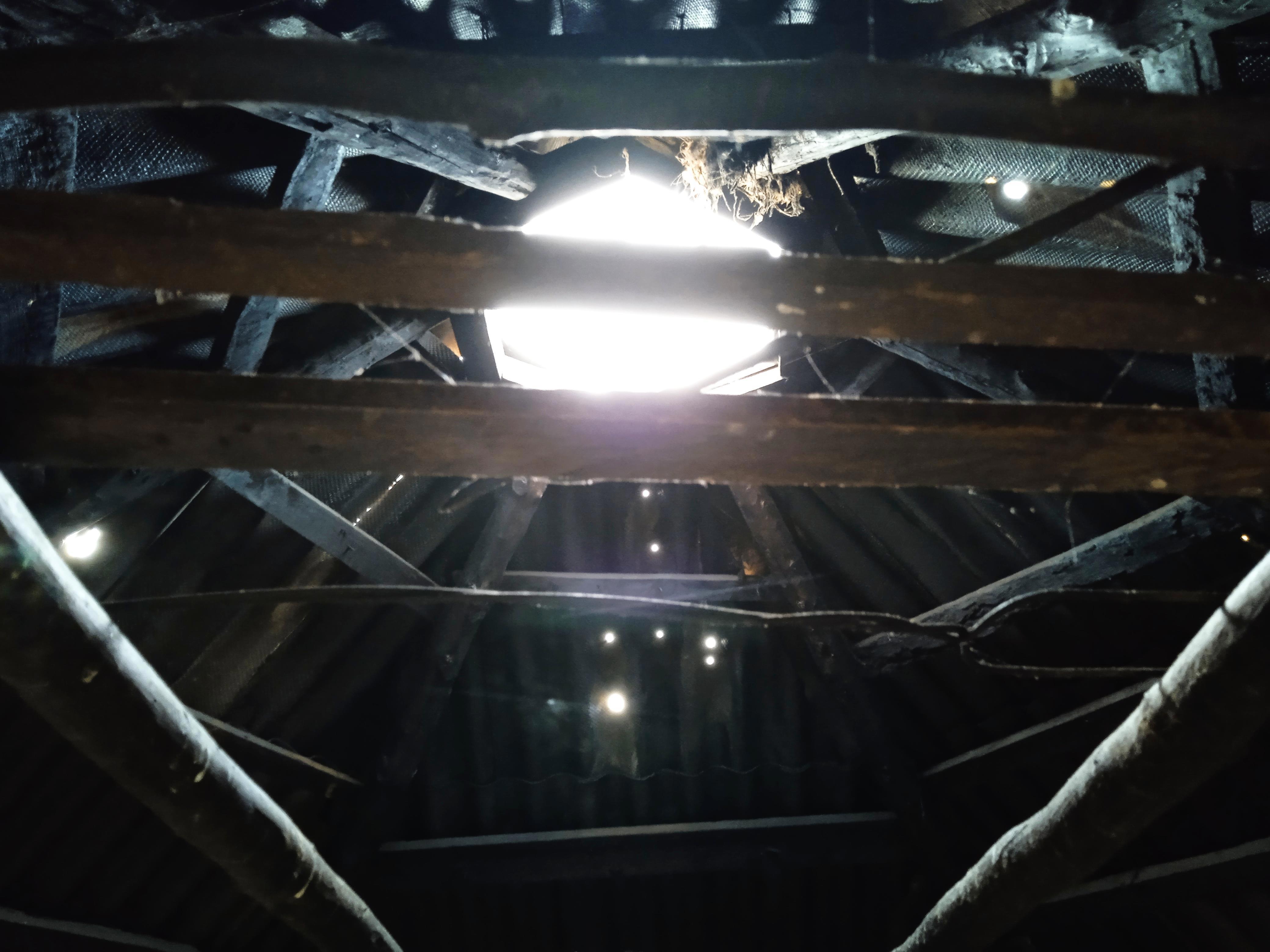 Я познакомился с коренными алтайцами и прикоснулся к их уникальной культуре! - Виктор Агеев-Полторжицкий