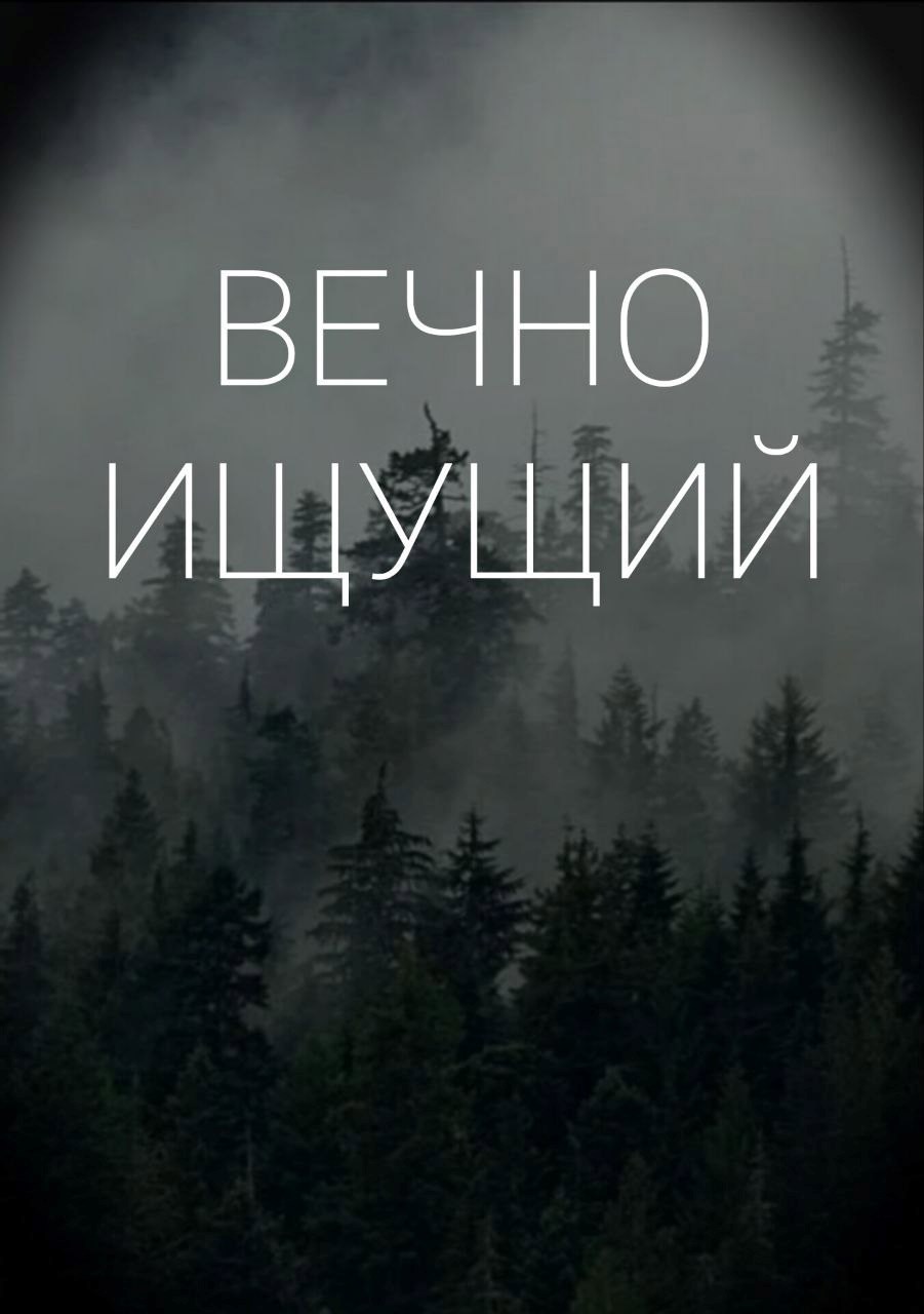 Обложка произведения Вечно ищущий