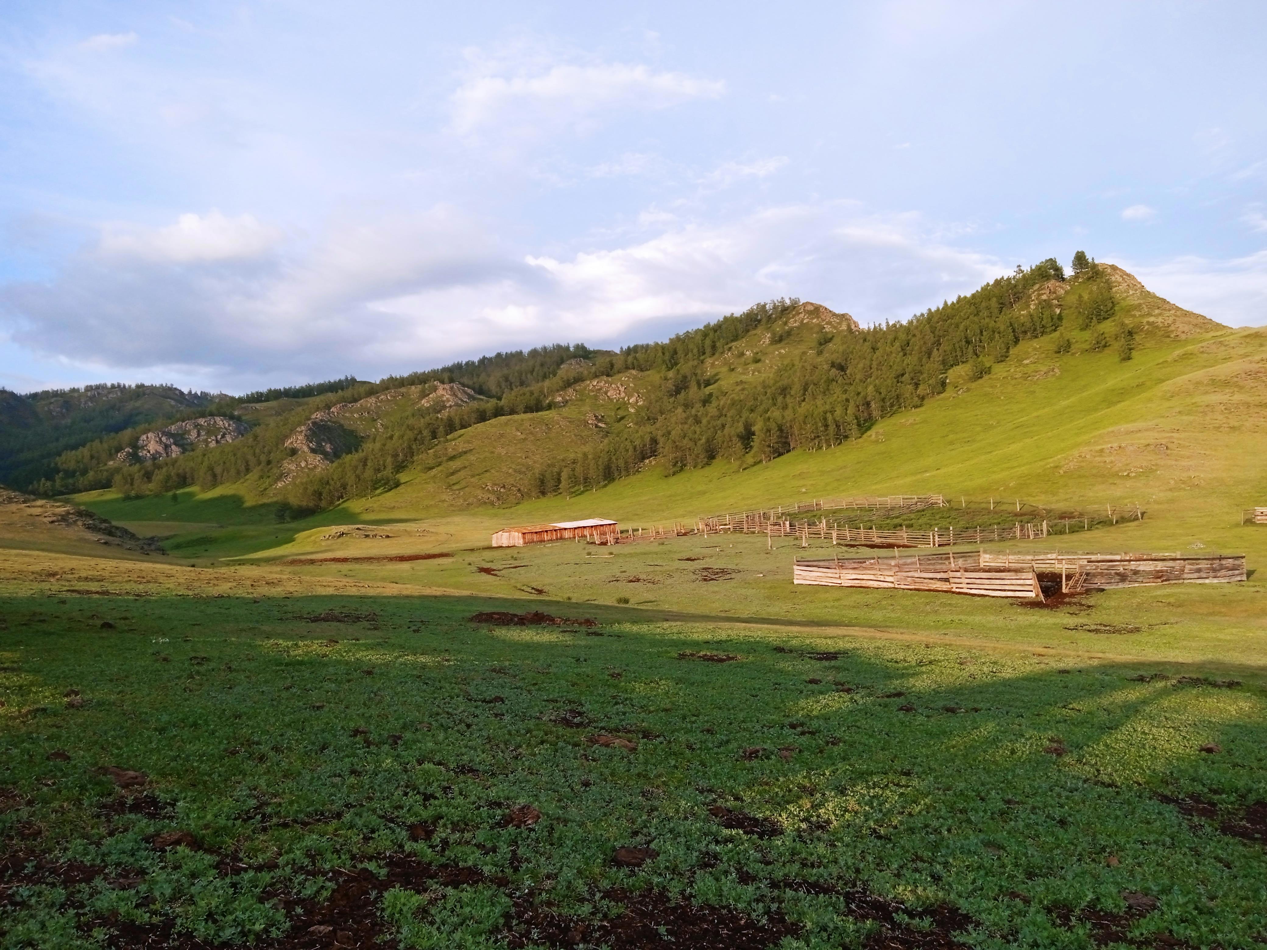 Я познакомился с коренными алтайцами и прикоснулся к их уникальной культуре! - Виктор Агеев-Полторжицкий