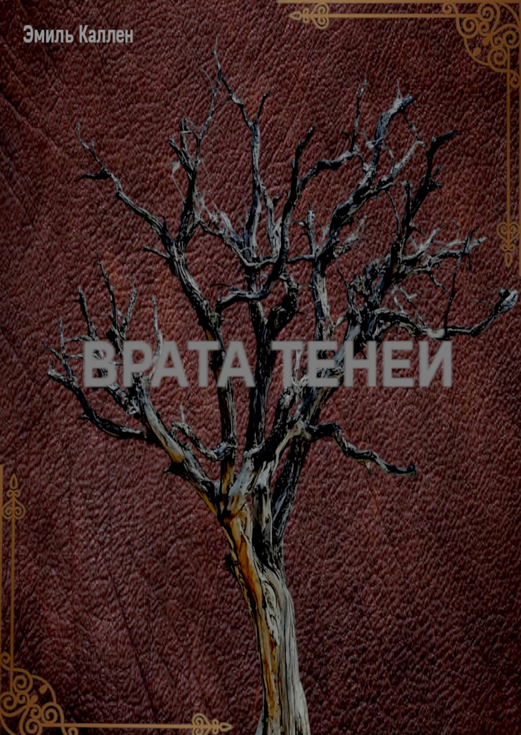 Обложка произведения Врата Теней