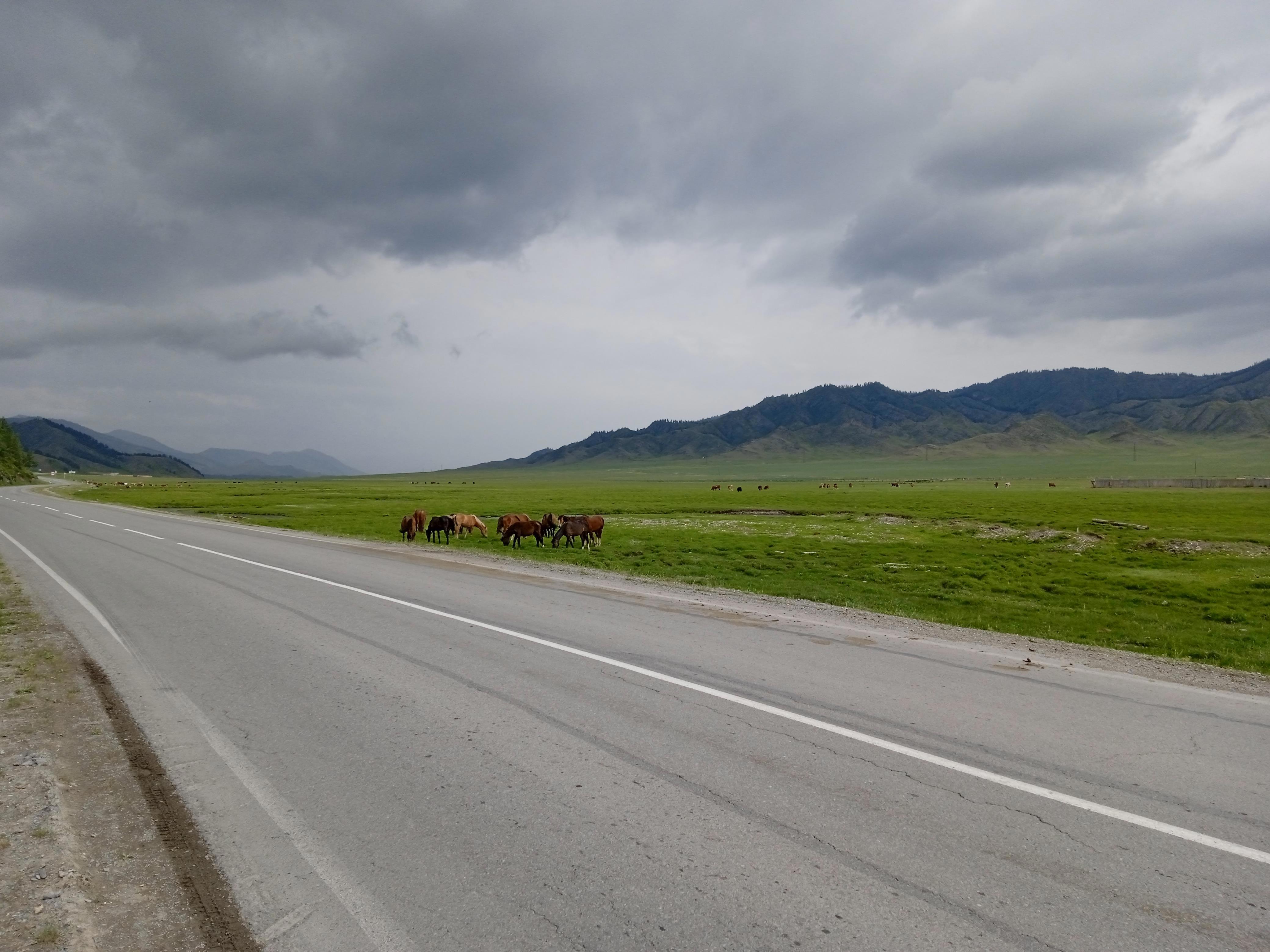 Бескрайние просторы алтайских степей, величественные горы, прозрачные реки и тихие закаты - Виктор Агеев-Полторжицкий