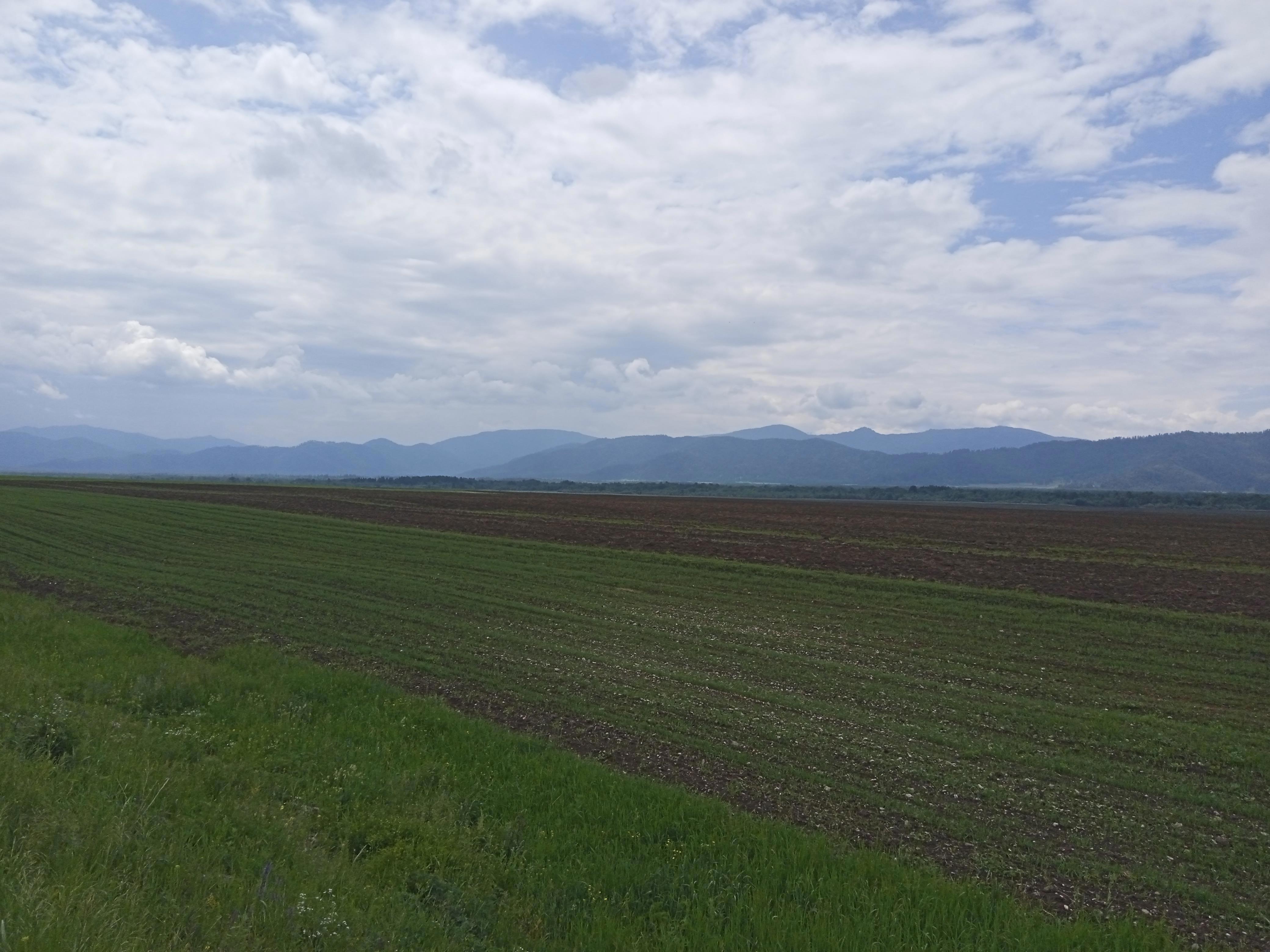 Бескрайние просторы алтайских степей, величественные горы, прозрачные реки и тихие закаты - Виктор Агеев-Полторжицкий