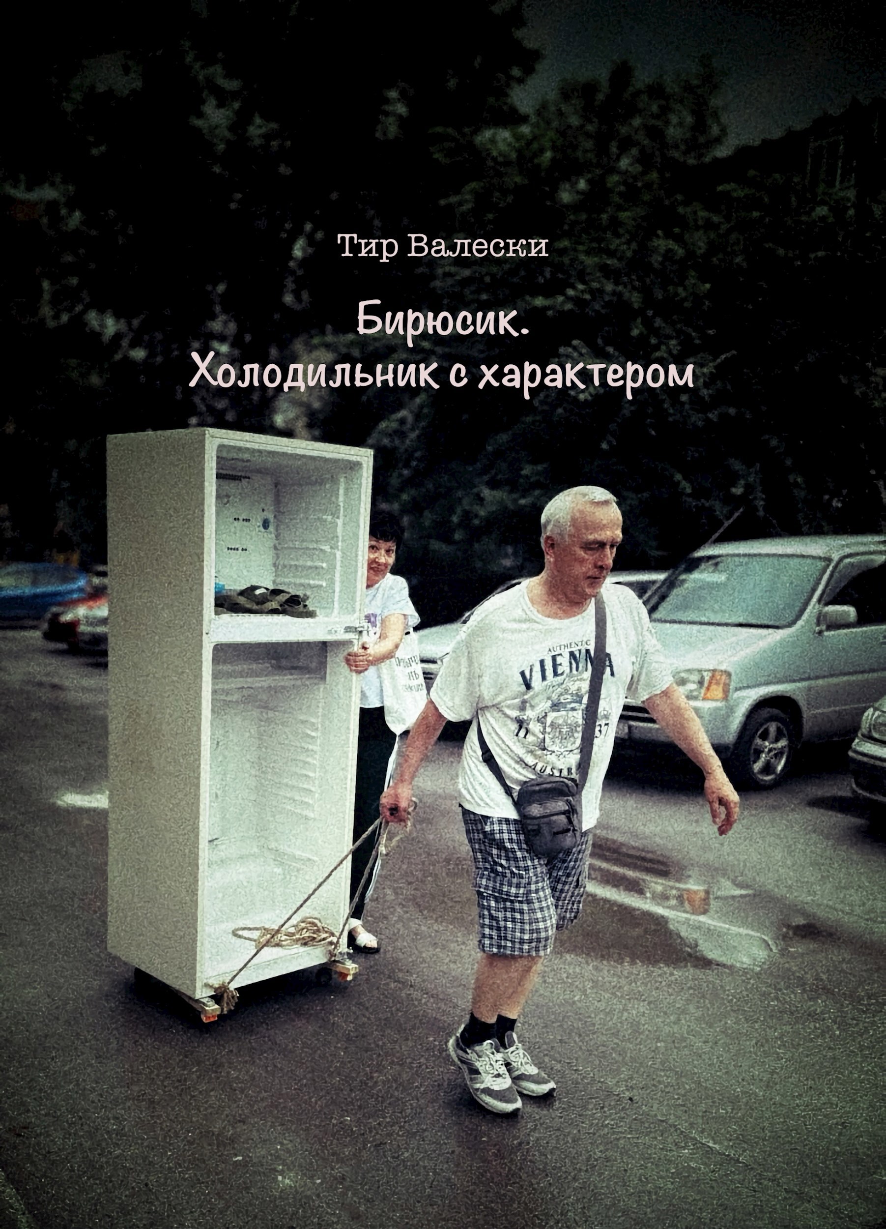 Обложка произведения Бирюсик. Холодильник с характером