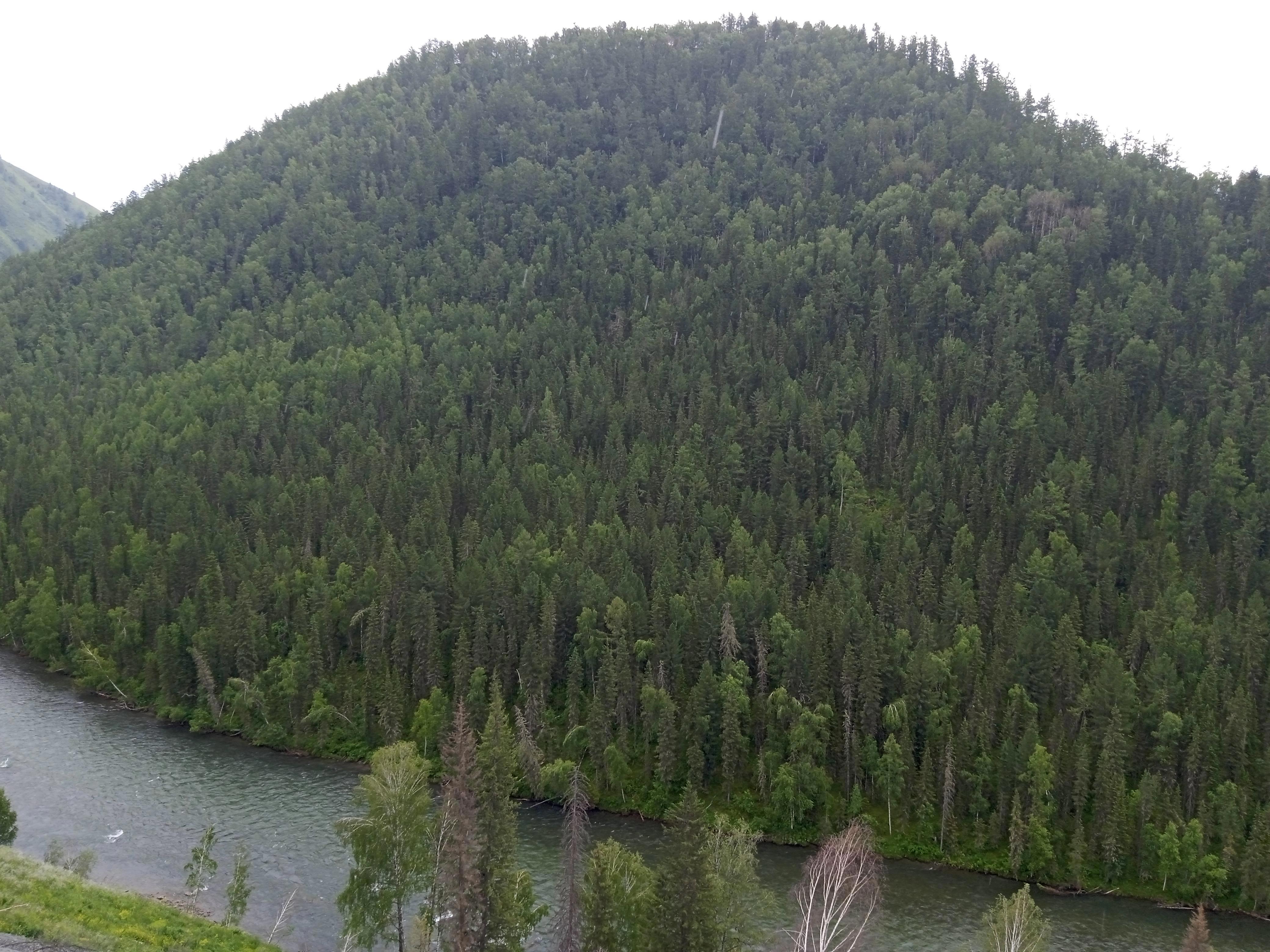 От Кырлык до перевала Громотуха — мой автостопный рывок к священной Белухе! - Виктор Агеев-Полторжицкий