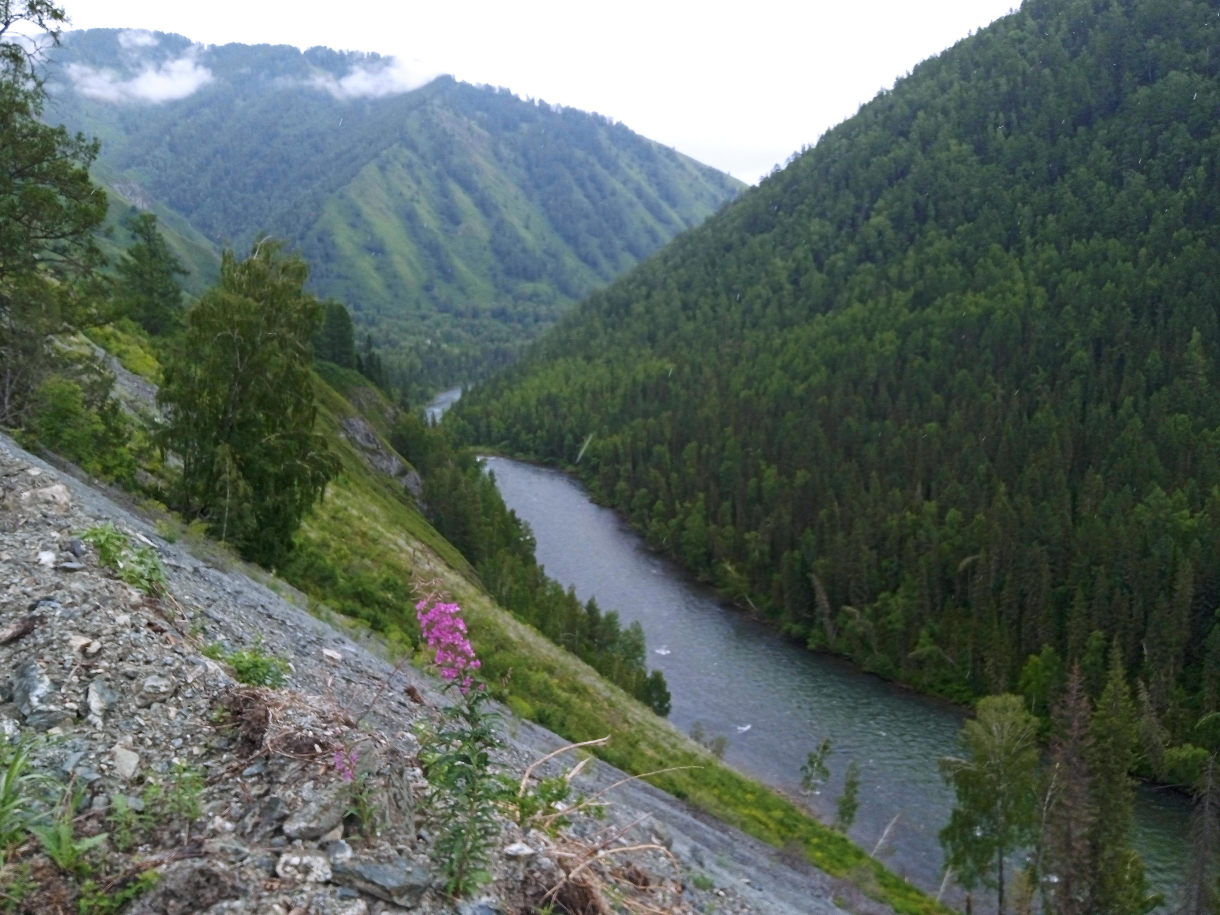 От Кырлык до перевала Громотуха — мой автостопный рывок к священной Белухе! - Виктор Агеев-Полторжицкий