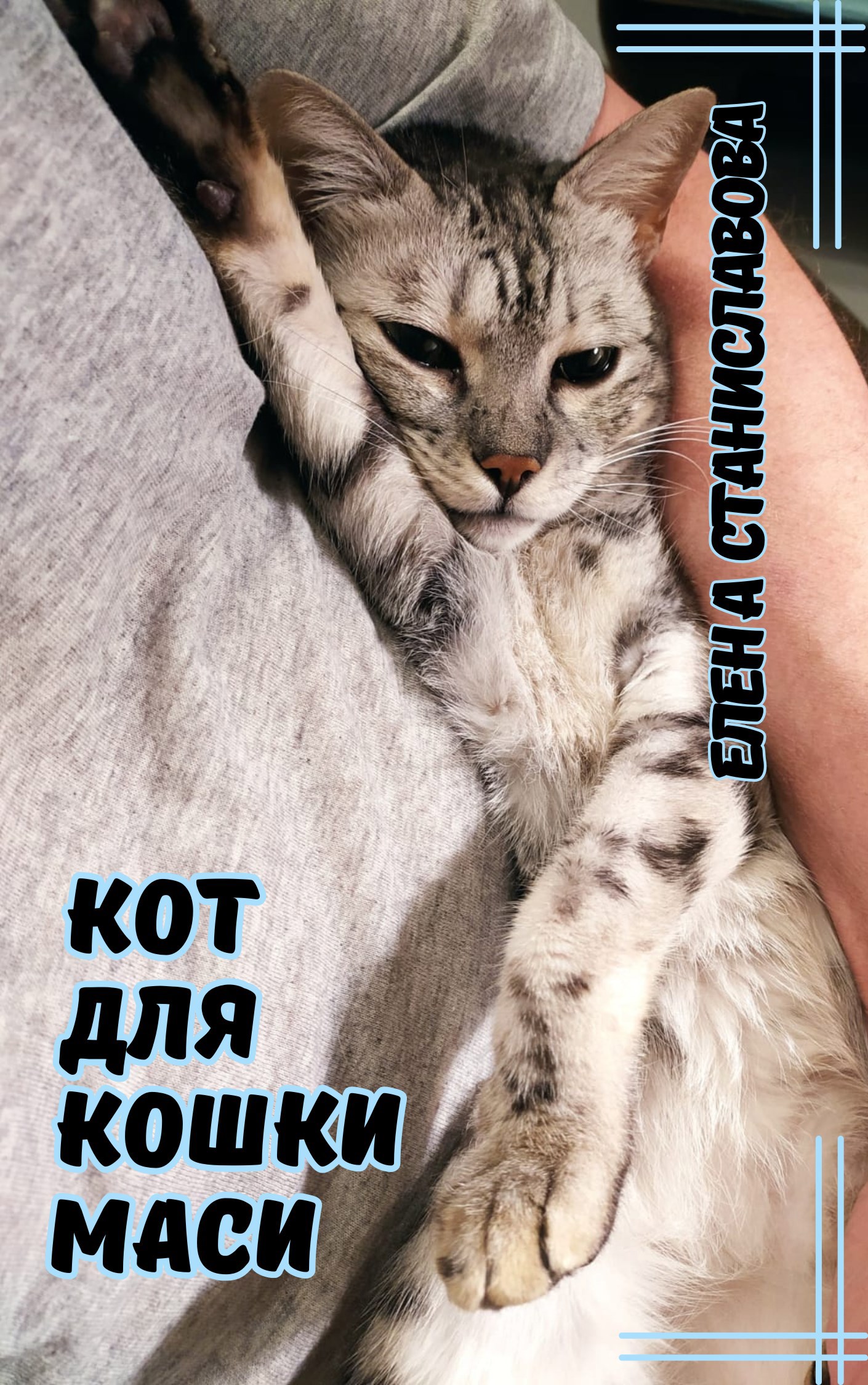 Обложка произведения Кот для кошки Маси