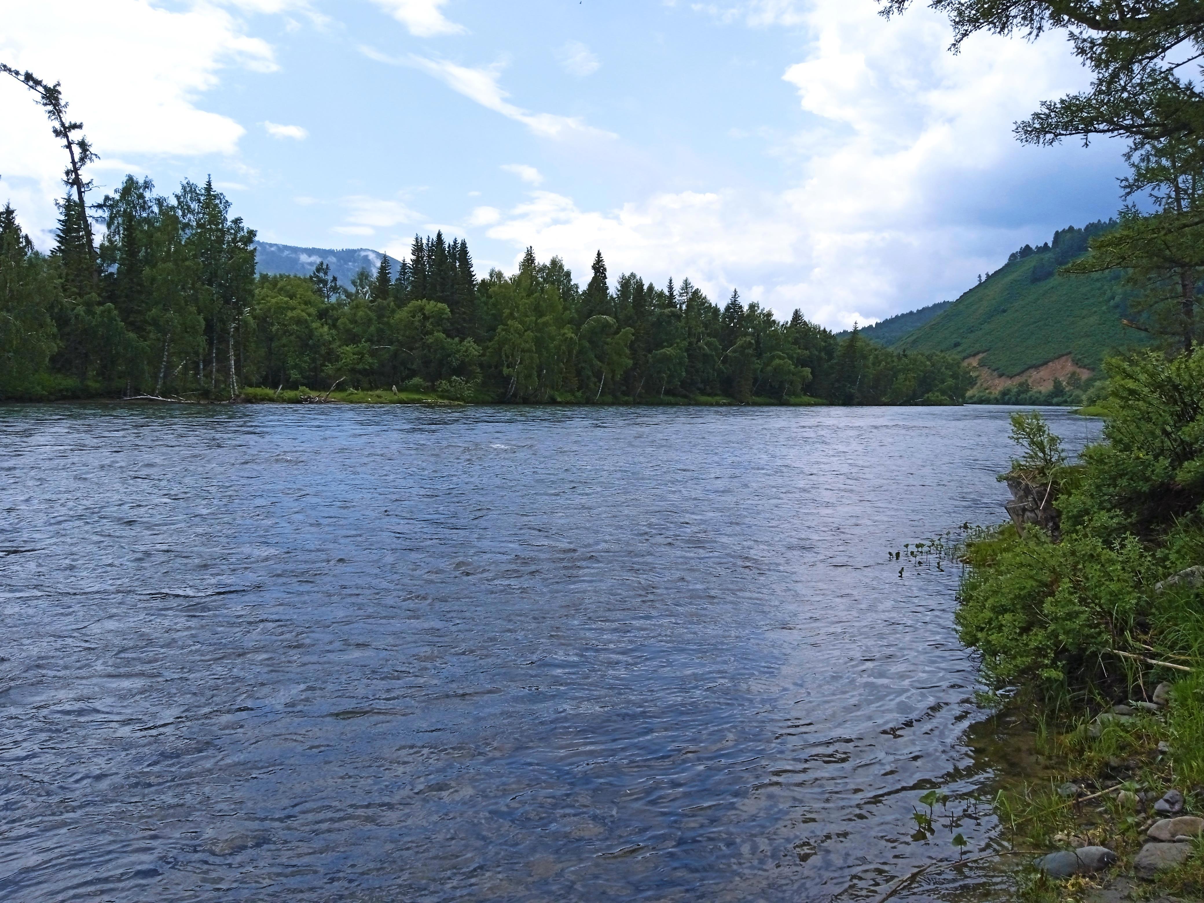 От Кырлык до перевала Громотуха — мой автостопный рывок к священной Белухе! - Виктор Агеев-Полторжицкий