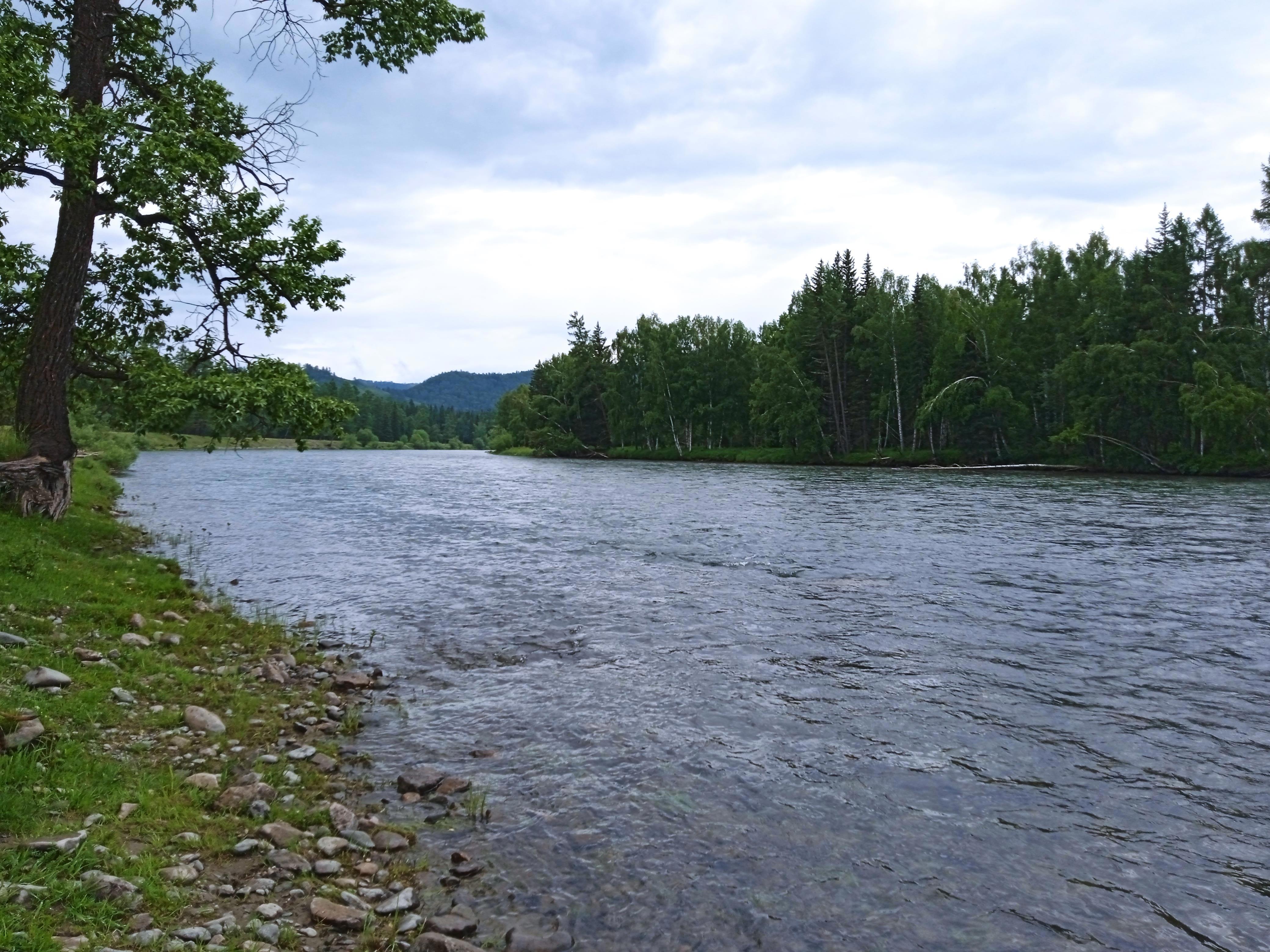 От Кырлык до перевала Громотуха — мой автостопный рывок к священной Белухе! - Виктор Агеев-Полторжицкий