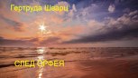 Обложка произведения След Орфея