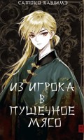 Обложка произведения Из игрока в пушечное мясо