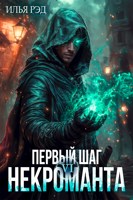 Обложка произведения Первый шаг Некроманта. Том 6