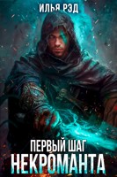 Обложка произведения Первый шаг Некроманта. Том 3