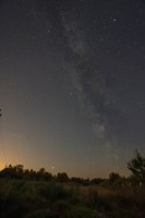 Обложка произведения Шорохи ночи