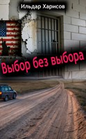 Обложка произведения Выбор без выбора
