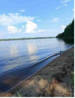 Обложка произведения Карелия плавится черникой