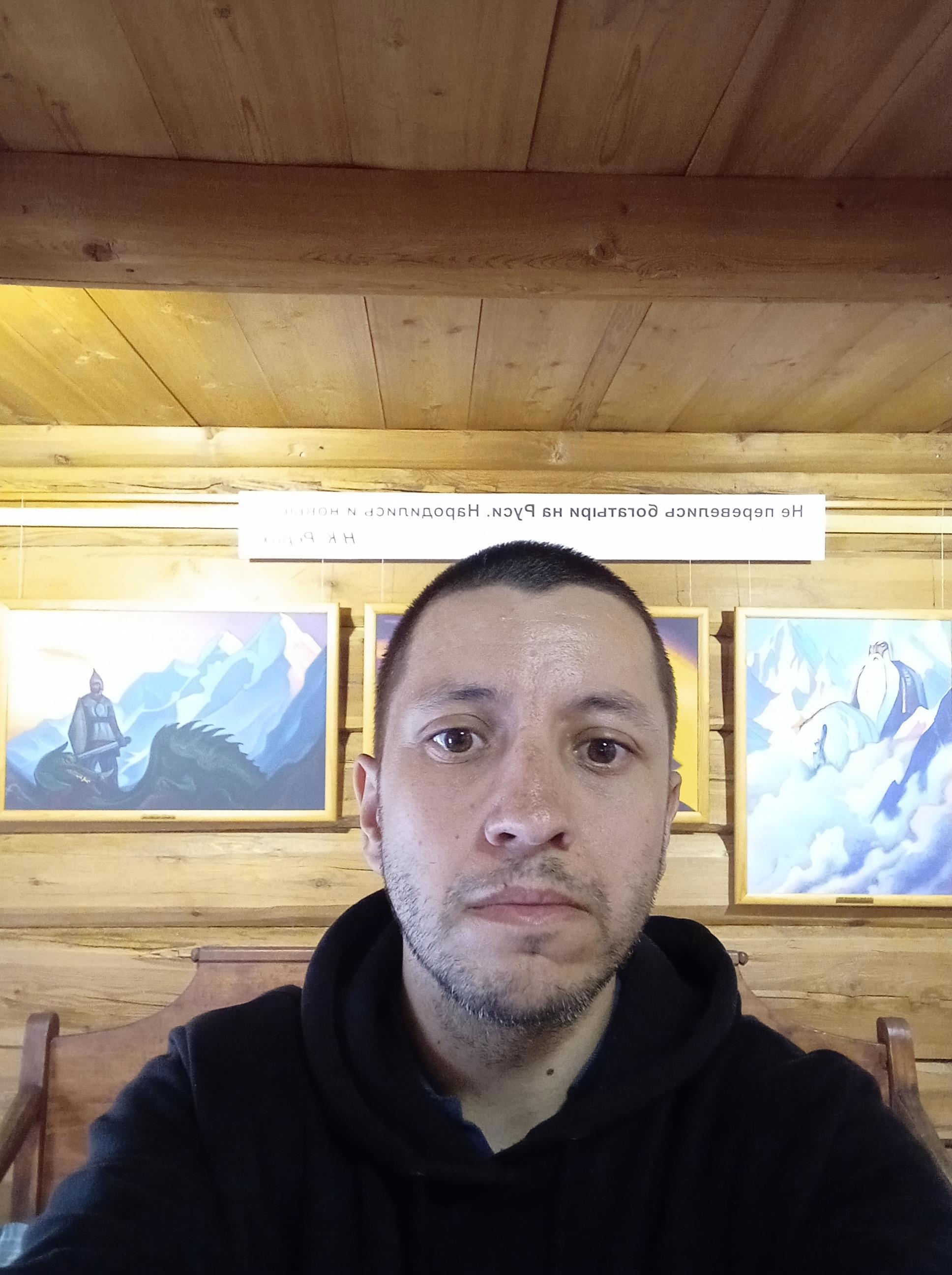 Картины и карта Рериха — взгляд на Древнюю Русь - Виктор Агеев-Полторжицкий