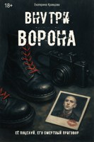Обложка произведения Внутри ворона
