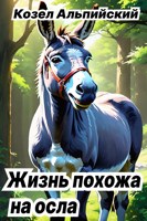 Обложка произведения Жизнь похожа на осла