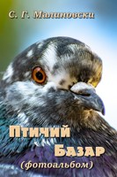 Обложка произведения Птичий базар (фотоальбом)