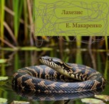 Обложка произведения Лахезис