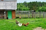 Обложка произведения Басни Посохова про Ивана