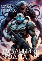 Обложка произведения Звездный Бродяга 3
