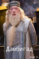 Обложка произведения Дамбигад