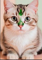 Обложка произведения Кот по имени Лаки