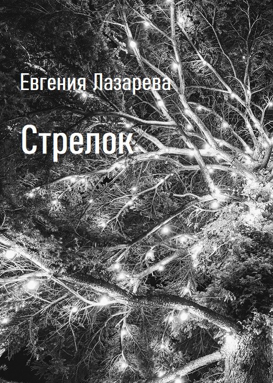 Обложка произведения Стрелок