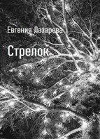 Обложка произведения Стрелок