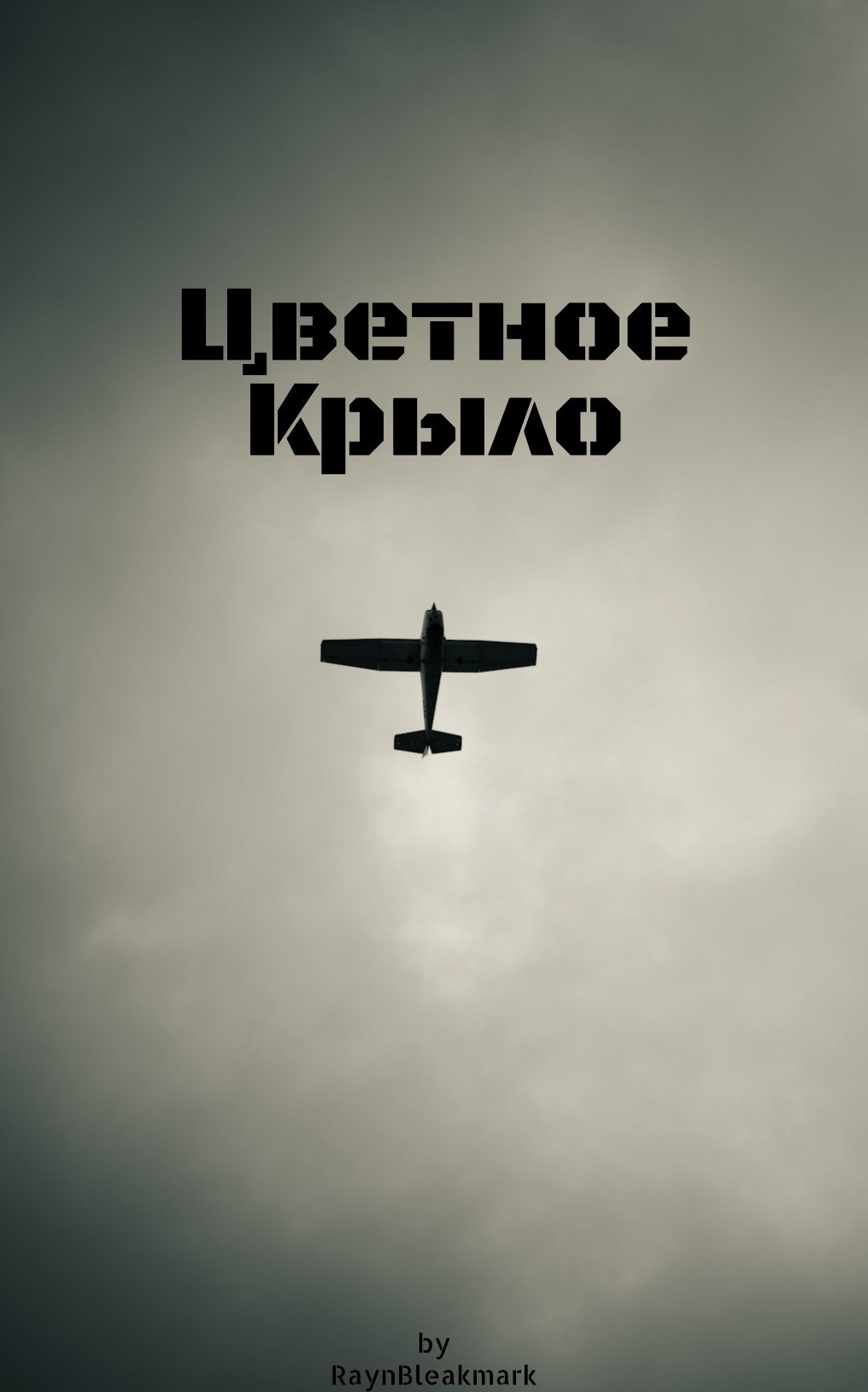 Обложка произведения Цветное Крыло