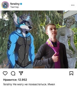 Мем группы ИФ фандом...