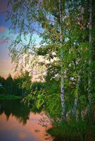 Обложка произведения Их матери не спят…