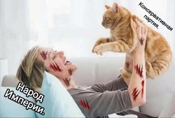 Мем группы ИФ фандом...