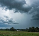 Обложка произведения Саши больше нет