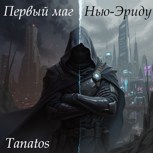 Обложка произведения Первый маг Нью-Эриду