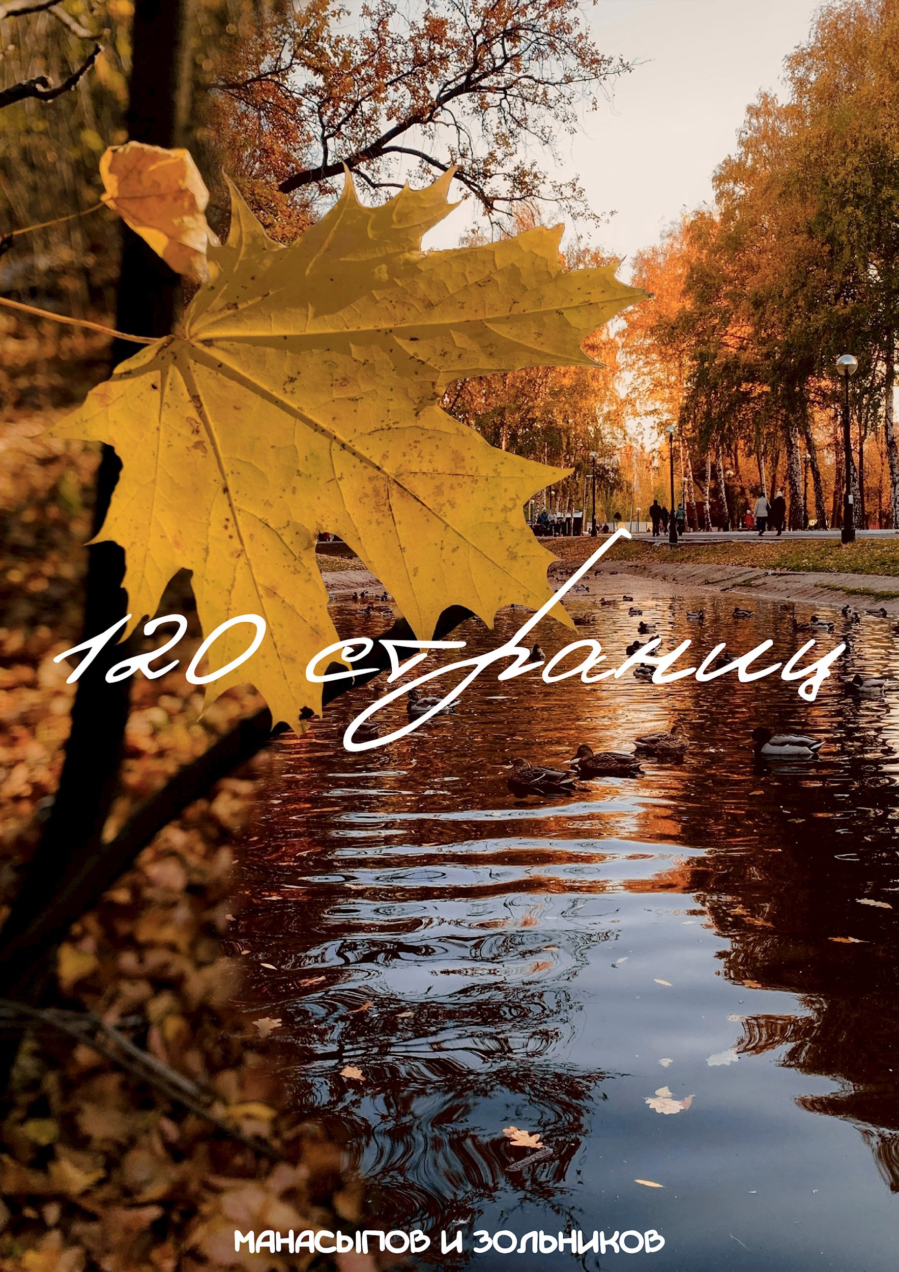Обложка произведения 120 страниц