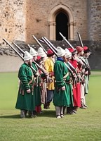 Обложка произведения Стрелецкий бунт 18 июля 1698 г.
