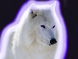 Обложка произведения Бред инвалида.