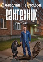 Обложка произведения Сантехник