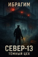 Обложка произведения «Север-13. Тёмный цех»
