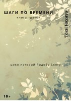 Обложка произведения Шаги по времени. Книга третья. Цикл историй Ридобу Скогу