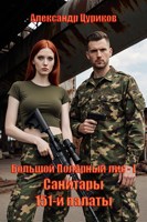 Обложка произведения Большой Полярный лис. Книга 1. Санитары 151-й палаты.