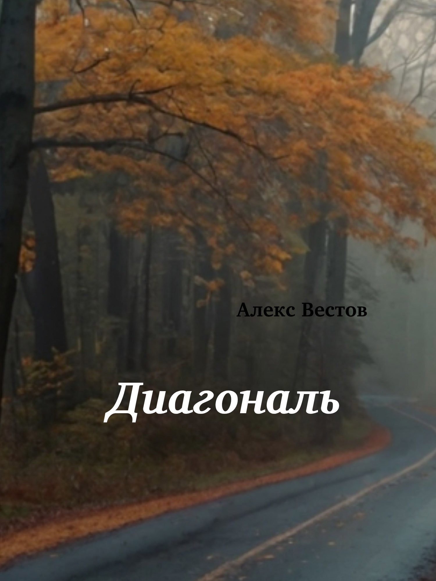 Обложка произведения Диагональ