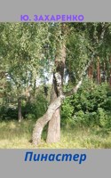 Обложка произведения Пинастер