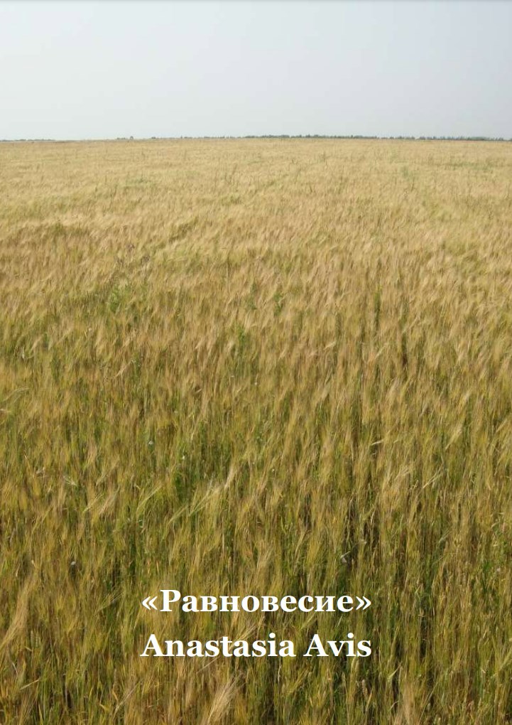 Обложка произведения Равновесие