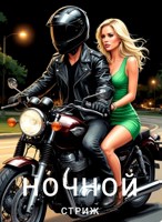 Обложка произведения Ночной стриж