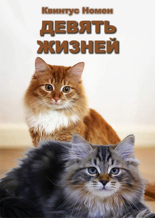 Обложка произведения Девять жизней