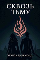 Обложка произведения Сквозь Тьму