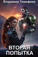 Обложка произведения Вторая попытка